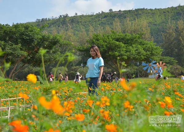 จิม ทอมป์สัน ฟาร์มทัวร์ 2560