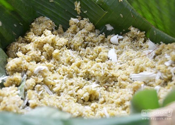 จิม ทอมป์สัน ฟาร์มทัวร์ 2560