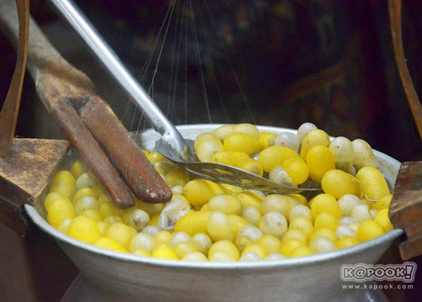 จิม ทอมป์สัน ฟาร์มทัวร์ 2560