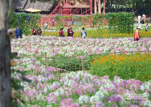 จิม ทอมป์สัน ฟาร์มทัวร์ 2560