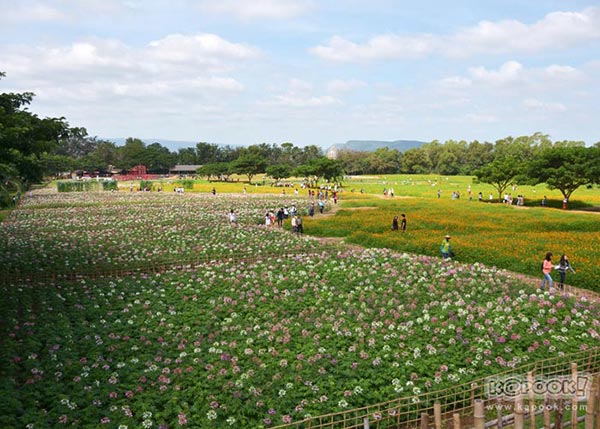 จิม ทอมป์สัน ฟาร์มทัวร์ 2560