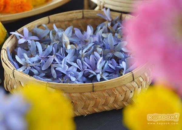 จิม ทอมป์สัน ฟาร์มทัวร์ 2560