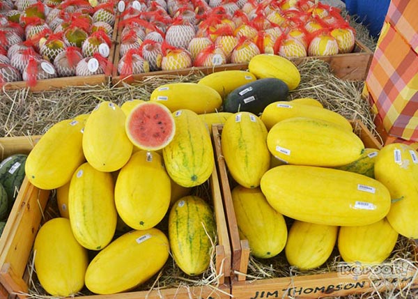 จิม ทอมป์สัน ฟาร์มทัวร์ 2560