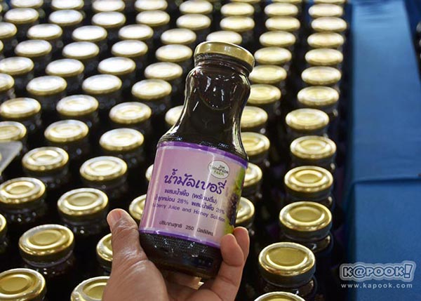 จิม ทอมป์สัน ฟาร์มทัวร์ 2560