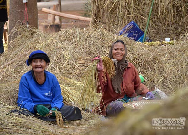 จิม ทอมป์สัน ฟาร์มทัวร์ 2560