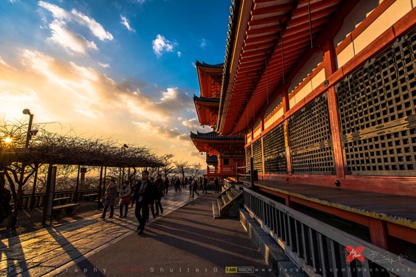 เที่ยวญี่ปุ่น