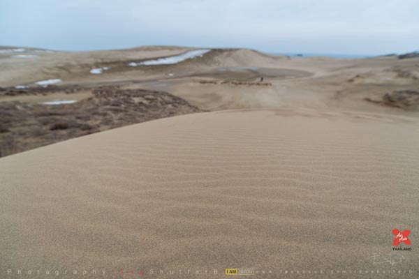 เที่ยวญี่ปุ่น