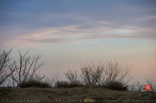 เที่ยวญี่ปุ่น