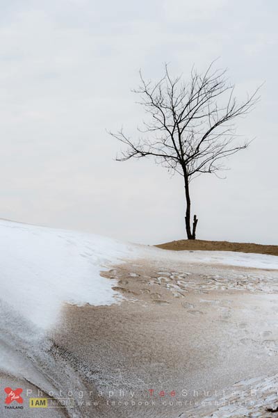 เที่ยวญี่ปุ่น