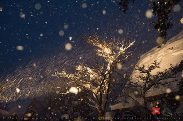 เที่ยวญี่ปุ่น