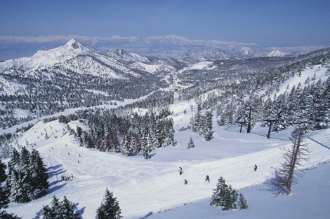 นากาโน่