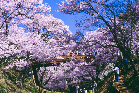 นากาโน่