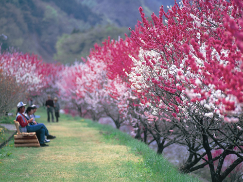 นากาโน่