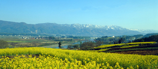 นากาโน่