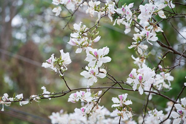 ที่เที่ยวเดือนมีนาคม