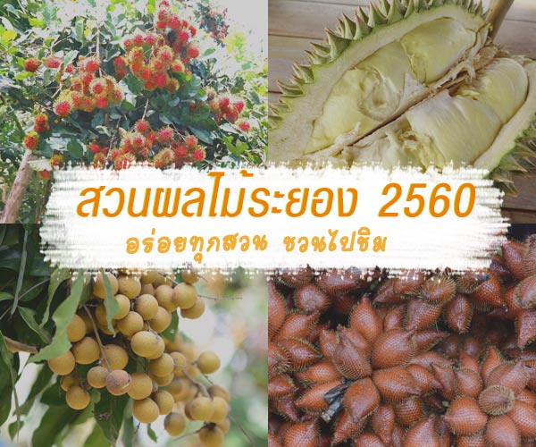 สวนผลไม้ระยอง