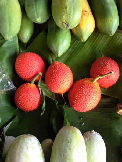 สถานที่พาผู้สูงอายุเที่ยวใกล้กรุงเทพ