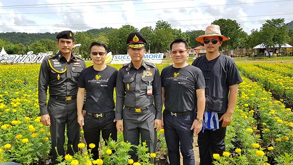 ทุ่งดอกดาวเรือง รวมใจภักดิ์