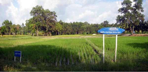 โครงการพระราชดำริ