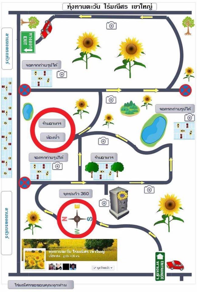 ทุ่งทานตะวัน ไร่มณีศร เขาใหญ่