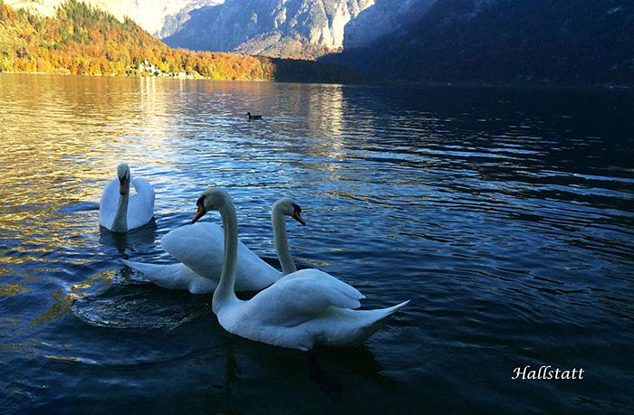 เที่ยวยุโรป