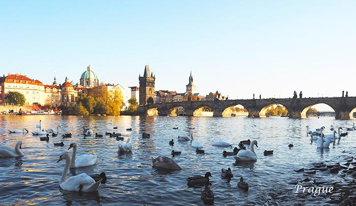 เที่ยวยุโรป