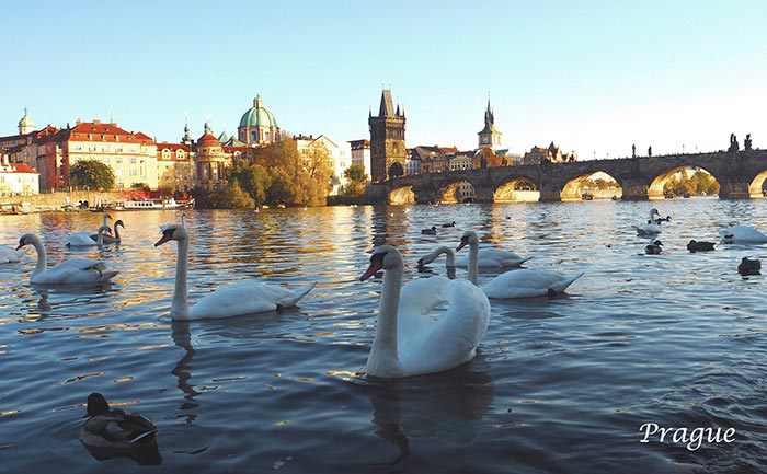 เที่ยวยุโรป