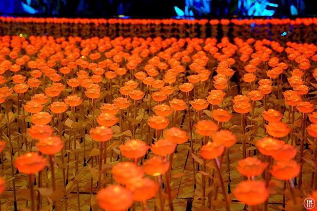 เที่ยวโคราช