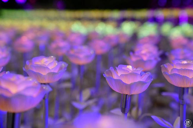 เที่ยวโคราช