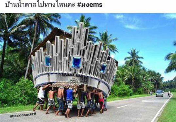 น้ำตาล ชลิตา