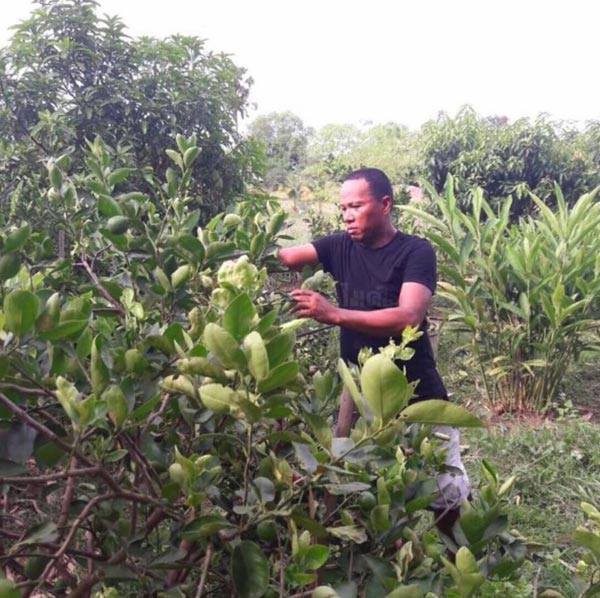 ไมค์ ภิรมย์พร