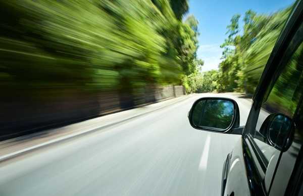 ขับรถเจอช้างต้องทำอย่างไร 