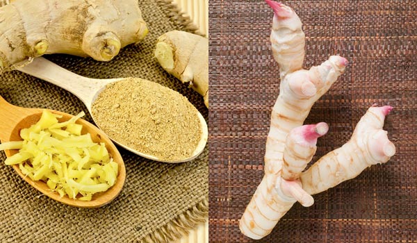 สมุนไพรแก้หวัด