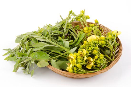 สมุนไพรแก้หวัด