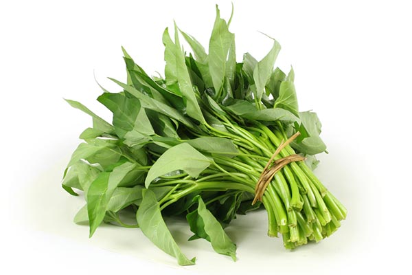 สมุนไพรแก้หวัด