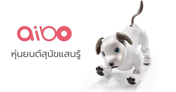 aibo หุ่นยนต์สุนัขแสนรู้
