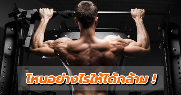 วิธีสร้างกล้ามเนื้อ