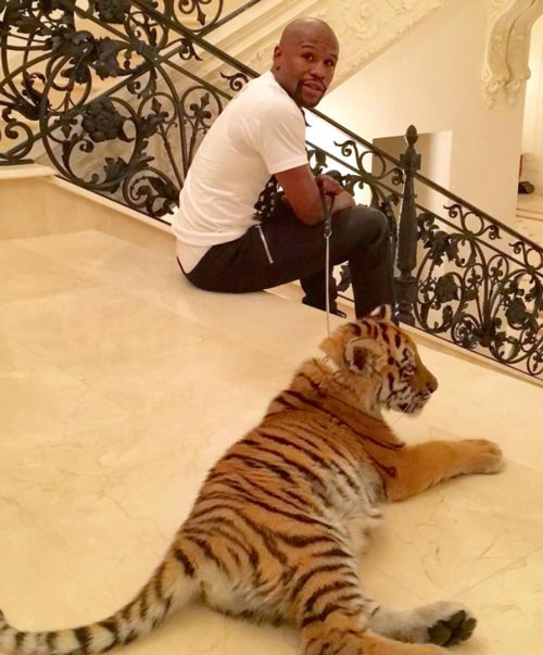 ฟลอยด์ เมย์เวทเธอร์ จูเนียร์