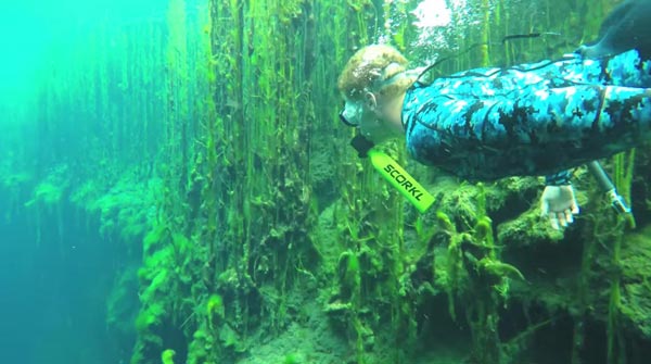 หน้ากากดำน้ำ