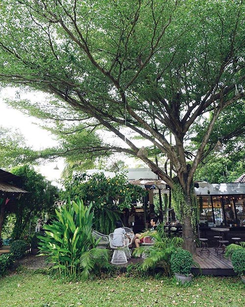 ร้านกาแฟในสวน
