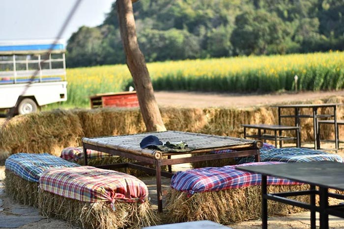 ทุ่งปอเทือง