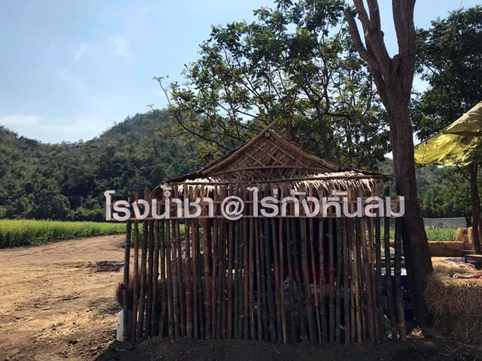 ทุ่งปอเทือง