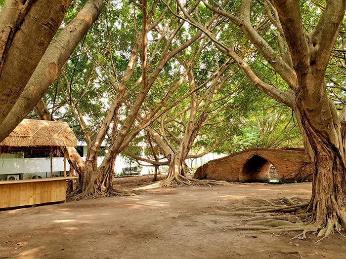 ตลาดบ้านดินสอ