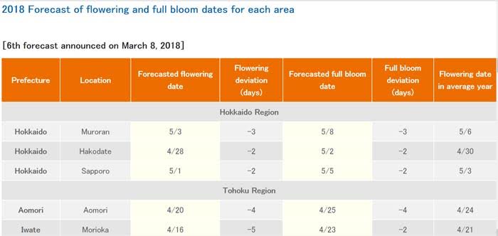 ซากุระ 2018