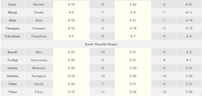 ซากุระ 2018