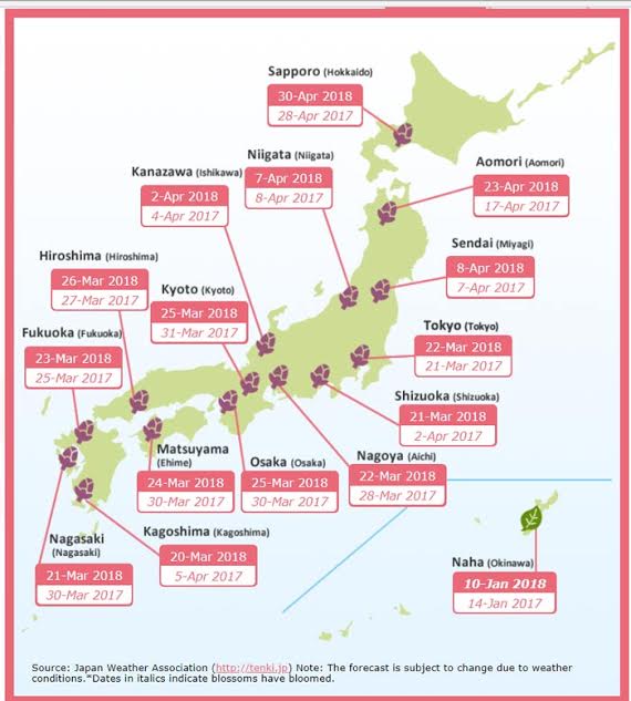 ซากุระ 2018