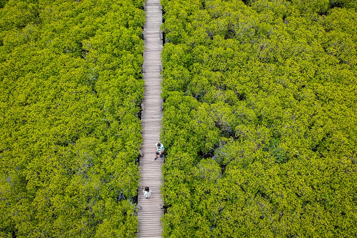 ที่เที่ยวใกล้กรุงเทพฯ