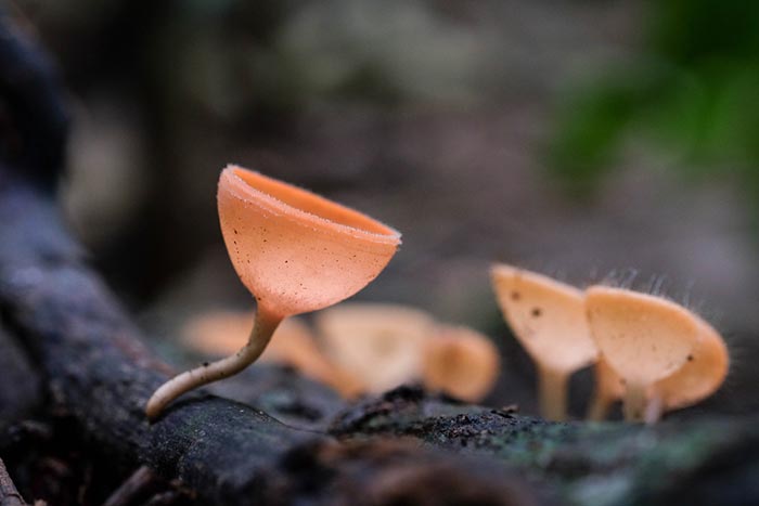 ที่เที่ยวใกล้กรุงเทพฯ