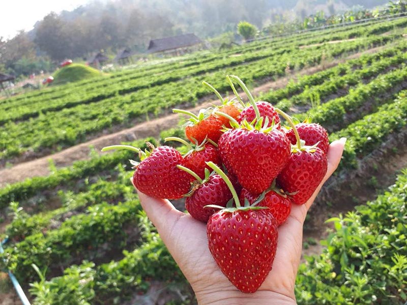 ที่เที่ยวสะเมิง