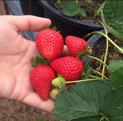 ที่เที่ยวสะเมิง